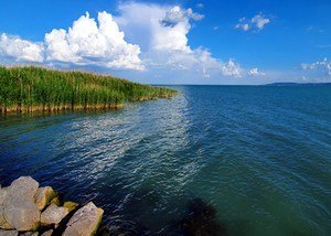 balaton tiszta víz