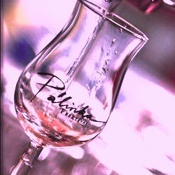 magyar pálinka - terasz