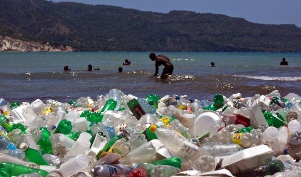 pet palack fertőtlenítés